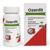 Ozenfit - cápsulas para la diabetes