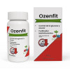 Ozenfit - cápsulas para la diabetes