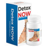 Detox Now - tratamiento intestinal