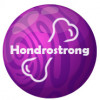 Hondrostrong - para las articulaciones