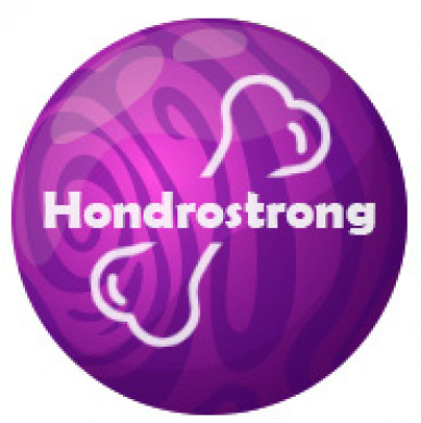 Hondrostrong - para las articulaciones
