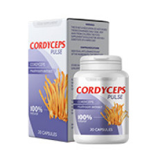 Cordyceps Pulse - remedio contra los hongos Cordyceps Pulse - remedio contra los hongos