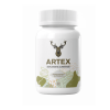 Artex - капсулы для суставов | precio reducido